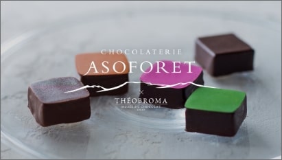 CHOCOLATE ASOFORET